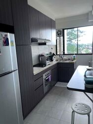 Hillcrest Arcadia (D11), Condominium #538018691